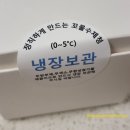 꼬물수제청카페 | 꼬물수제청 오베리청 내돈내산 후기
