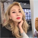 자이언트핑크 카카오 검색결과