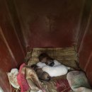 청곡사료 이미지