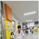 멘토 태권도 교육관 네이버블로그