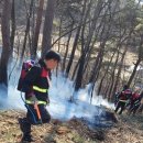 동해시-45 이미지