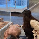 신비한동물원 | [가평 10월 여행 후기] 한 건물에서 즐기는 신비한 하루 – 신비동물원부터 천상 가평멋집까지 가평...