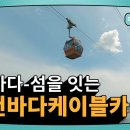 (주)대교여행사 이미지