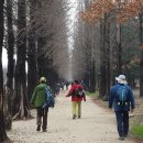 고양누리길 6코스 평화누리길 이미지