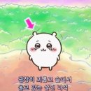 [호주워홀 D-63~67] 카페 면접, 트라이얼, 킹스크로스