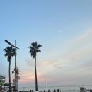 나마사케더뷰 | 광안리 오션뷰 술집 나마사케더뷰 내돈내산 후기