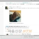 나우컴즈