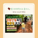 👣 발 더러워진다고 울더니... 결국 또 가자고 한 장동산림욕장 황톳길 후기