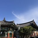 동부8길 | [26년 여름 제주] Day 3 | 감성 책방·소품샵 투어와 용문사 밤산책