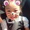 불품은돼지