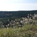 성읍리-9 이미지