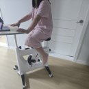 소음없고 접을수 있는 실내자전거) 밸런스 가이드 플렉스 바이크 만족후기