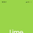 나의라임약국 이미지