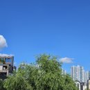 영쓰네일 - 시흥시 옥구천서로373번길 8 | [일상] 8/26~9/1 : 서울, 네일, 파일럿, 축구 관람, 물놀이