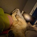 아산조은약국 이미지