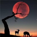 (주)영롱 이미지