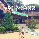 성주산자연휴양림 Daum카페