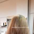 밀가미용실 - 강서구 | [강서구]까치산지구대옆#두피 탈모전문 헤어살롱밀가.♥️밀가미용실에서 염색후기 ♡♥️