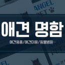 피알천사 이미지