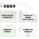 딜라이트 유스스포츠센터 이미지