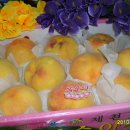 현숙이네 이미지