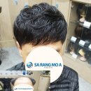 불광동 423 이미지