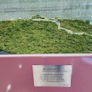 칠곡호국평화기념관 이미지