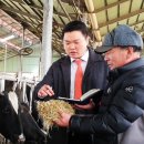 왕흥목장 이미지