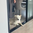 곡성-133 | 더워지고 있는 5월의 일상을 정리해봤어요