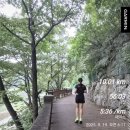 소리나팔꽃 | 가을날씨 만끽한 단양 10km 러닝 코스 후기 – 단양 달리기 코스 추천