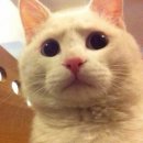 (주)이지아이피 이미지