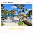 내곡D/C마트 | 양양 오션뷰 캠핑장 죽도야영장 D사이트 캠핑후기 시설 명당안내 샤워장이용팁 시간연장비용