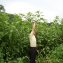 한결농장 이미지