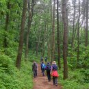 상학초교 이미지