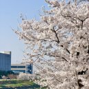 원우 WORLD | 세븐틴 콘서트 NEW_ ENCORE 뉴 앙콘 260405 막콘 후기 / 인천아시아드주경기장 2층 W9 31열 시야 / 셋...