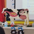 청원목장 이미지