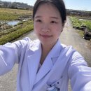 하제보건진료소 네이버블로그