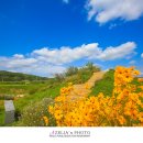 금호강1 이미지