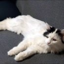 경기도 수원시 영통구 영통로241번길 이미지