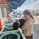 밀리터리테마파크 호국안보전시관 | 주말 당일치기 여행코스｜아이랑 부모님 모시고 가기 좋은 무안 밀리터리테마파크 + 낙지골목 점심 코스