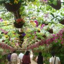 평안목장 이미지