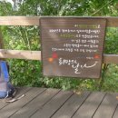 영인산자연휴양림 이미지