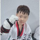 기품태권도장 이미지