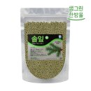 솔잎아래 이미지