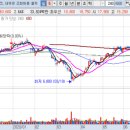 (주)두성 파라다이스카지노제주롯데 이미지