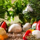 muscle paradise 이미지