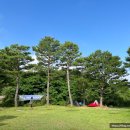 씨엠캠프 이미지