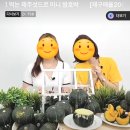 웰리더