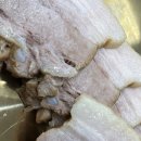 충주막국수 | [충주 맛집] 남한강막국수 후기