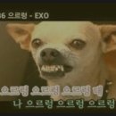 숯불닭대감 - 김포시 양도로19번길 8 | 숯불닭대감